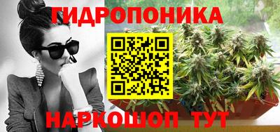 гашик Бузулук