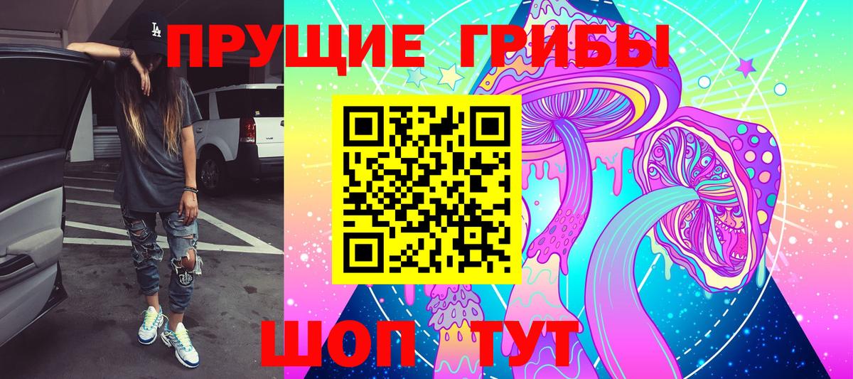 Галлюциногенные грибы Psilocybine cubensis  Вход с VPN  Галлюциногенные грибы мицелий  Тельмана 
