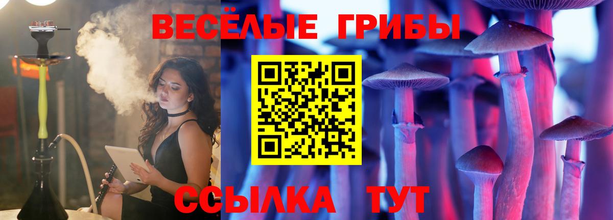 Псилоцибиновые грибы мицелий Тельмана
